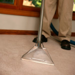 carpet6